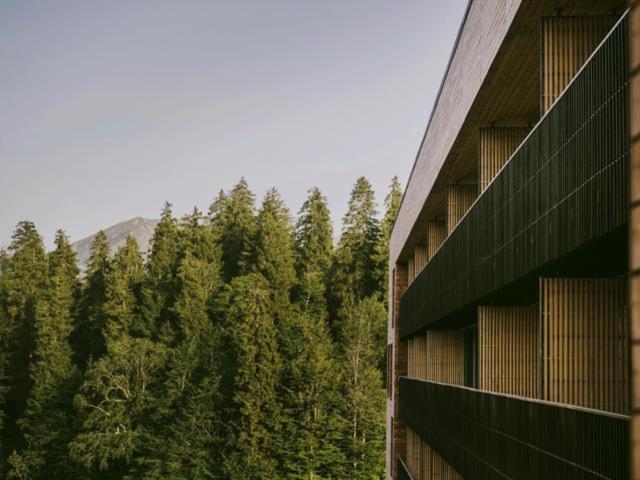 Bakuriani Apartment With Forest Around Eksteriør billede