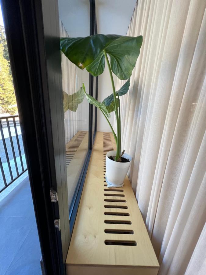 Bakuriani Apartment With Forest Around Eksteriør billede